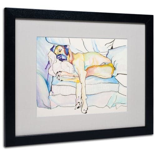 Trademark Fine Art Sleeping Beauty by Pat Saunders Canvas Artwork in Black Frame, 16 by 20-Inch