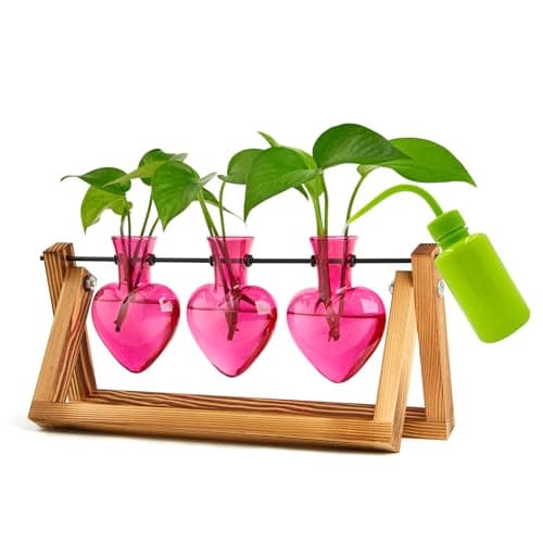 XXXFLOWER Plant Terrarium Propagation Stations Unique Gifts for Women Wife Mom Plant Lovers 3 Heart Shaped Vases for Hydroponics Home Garden Office Decor(Plants NOT Included)