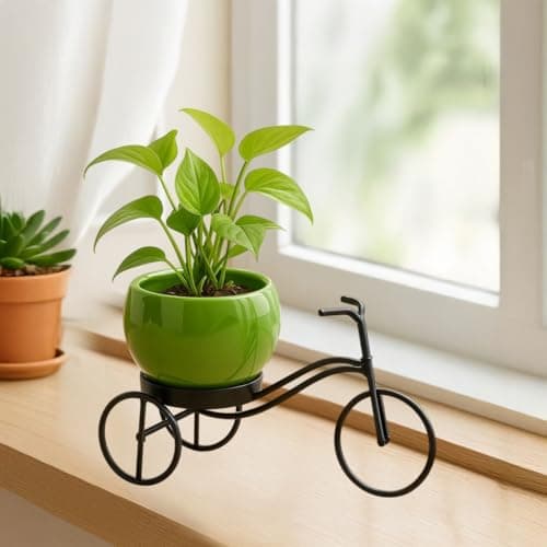 CINAGRO Cycle-Shaped Metal Plant Stand for Indoor & Outdoor Use, Metal Cycle Flower Vase, Decorative Iron Planter Pot Holder for Flowers & Ornaments (18 x 8 x 8cm) Style: Urban Pedal, Small