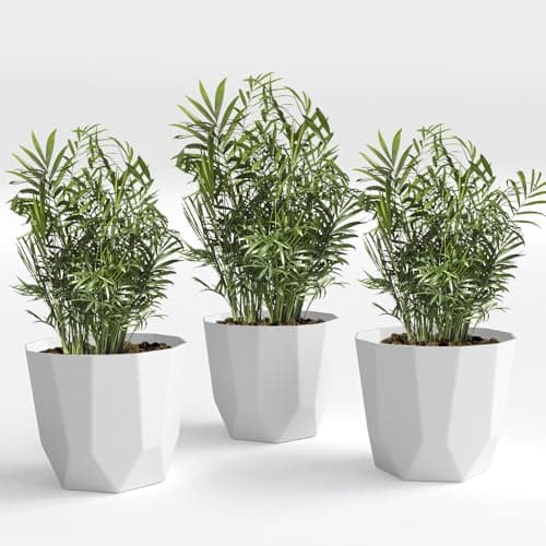 YUCCABE ITALIA SHERA Hexa Plastic Planter Pot for Plants | Decorative Flower Pot | UV Protected Lightweight Indoor Outdoor Gamla for Home Decor, Balcony, Garden & Living Room