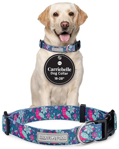 Lucky Love Dog - Adjustable Dog Collar with Easy Click Buckle for Large Dogs, Durable, & Comfortable for Male & Female Dogs, Pet Collar for Puppies & Adult Ones - Carriebelle, XL