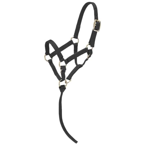 Tough 1 Miniature Nylon Halter - Black - Large