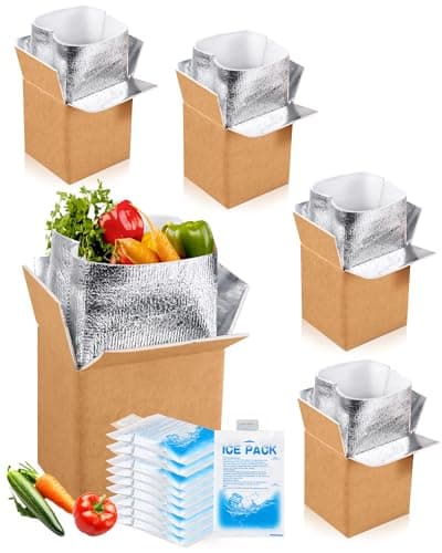 Honoson 4 Pcs Thermal Insulated Shipping Boxes for Frozen Food with Ice Pack and Aluminum Foil Liner for Shipping Big Cold Pack Cooler Mailing Boxes for Moving Hot Frozen Food 6 X 5 X 65