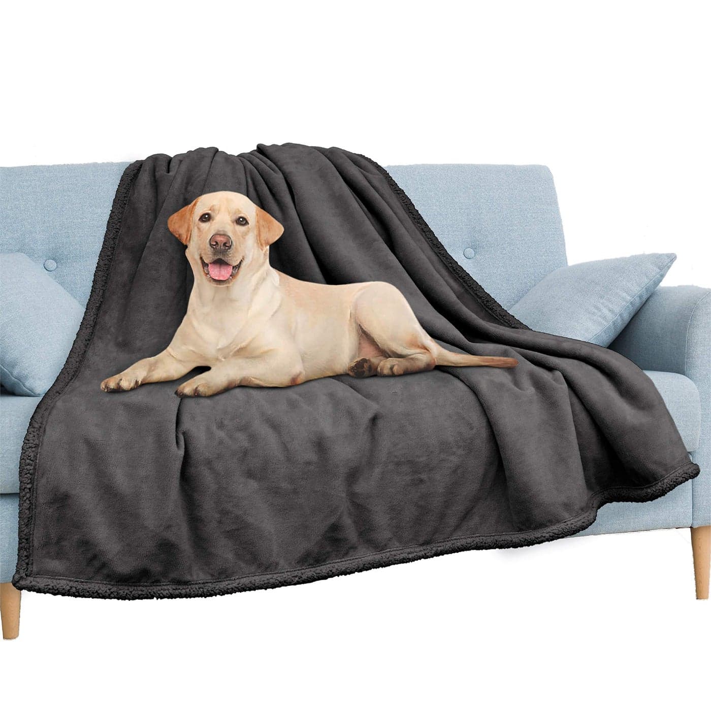 PAVILIA Waterproof Blanket Throw Dark Grey QueenWaterproof Pet Blanket for Dog Couch ProtectionLeak Proof Sherpa Fleece Blanket for Bed SofaLiquid Resistant Large Plush Throw 90x90Charcoal