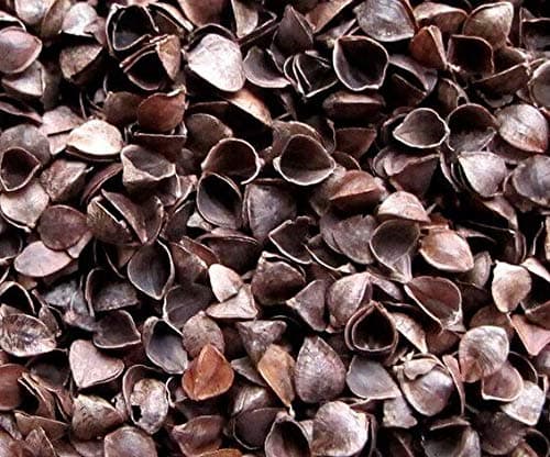 WildRoar Photography Bean Bag Fillers Brown