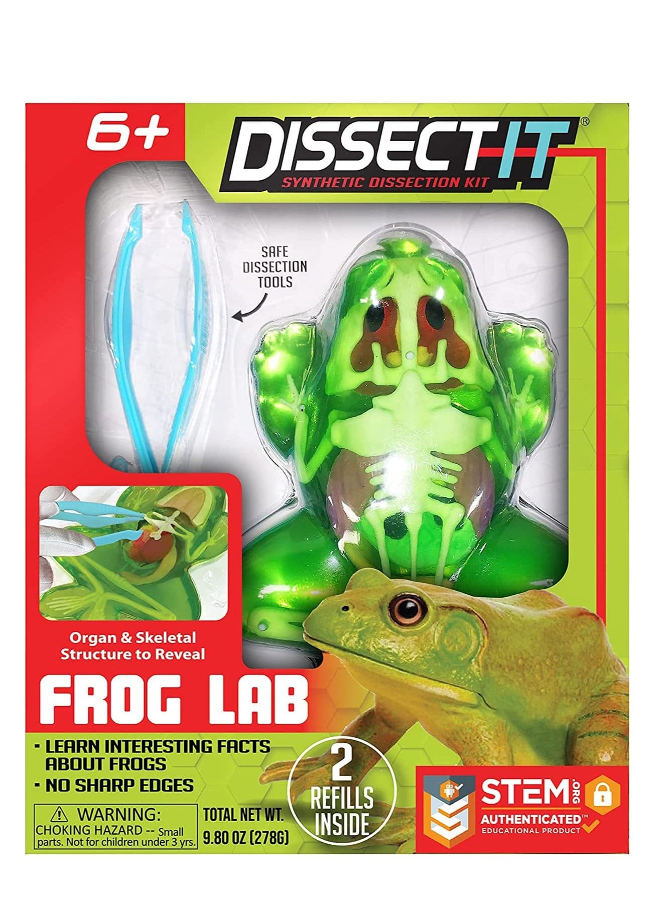 Dissect It Synthetic Frog Dissection Kit