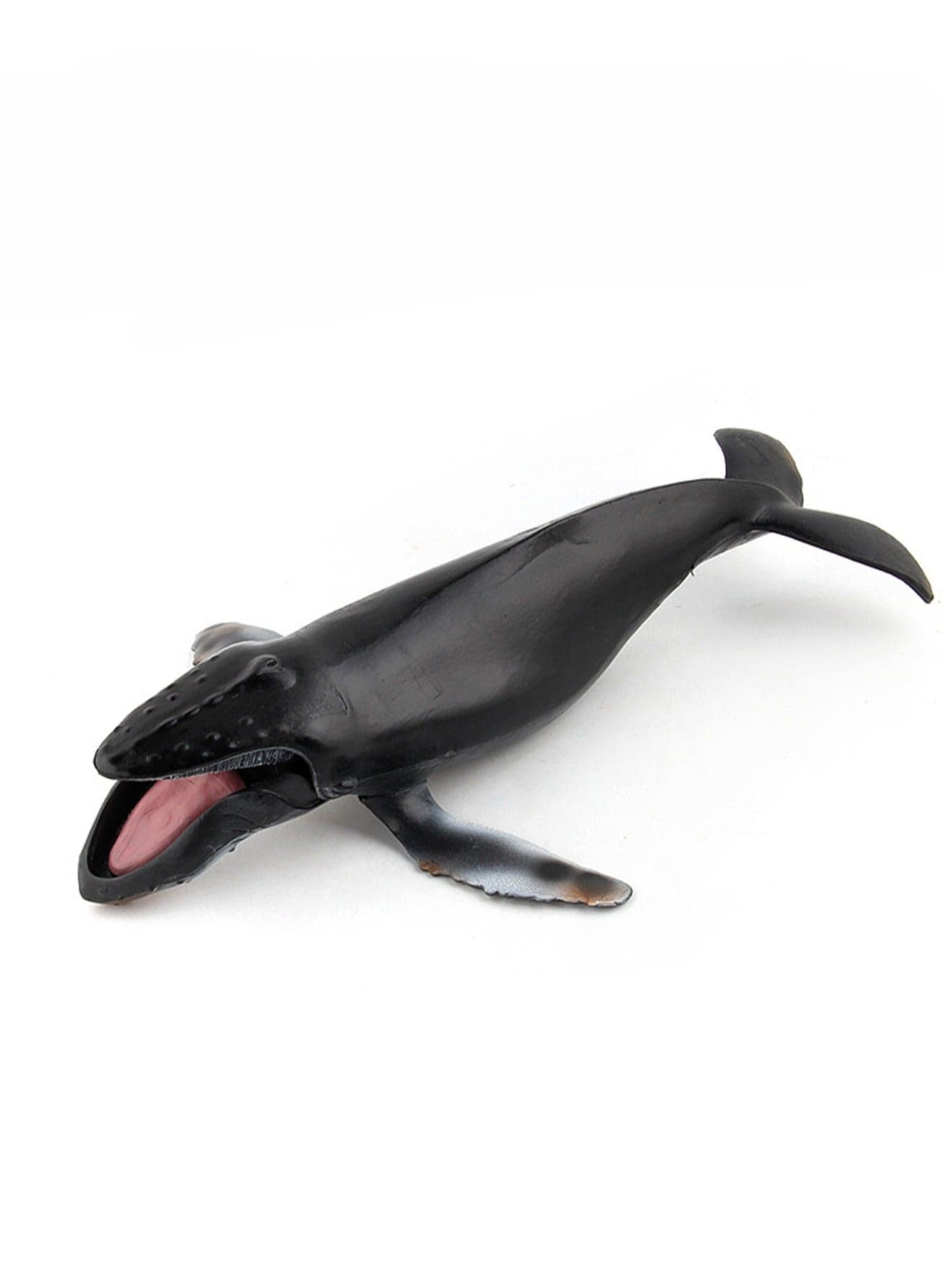 Simulation Solid Marine Animal Model Simulation Whale Model(Humpback Whale)