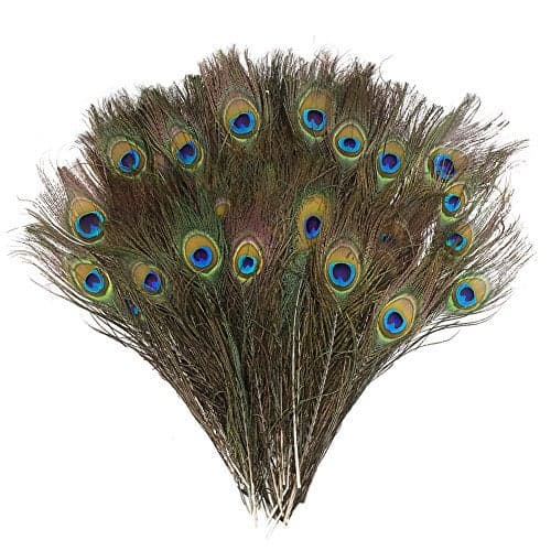 DECORA 100 Pieces Real Natural Peacock Feathers for Craft Halloween Costume Bridesmaid Corsage Christmas Wreath and Home Decor 10 Inch-12 inch