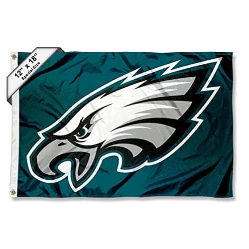 Philadelphia Eagles Boat and Golf Cart Flag