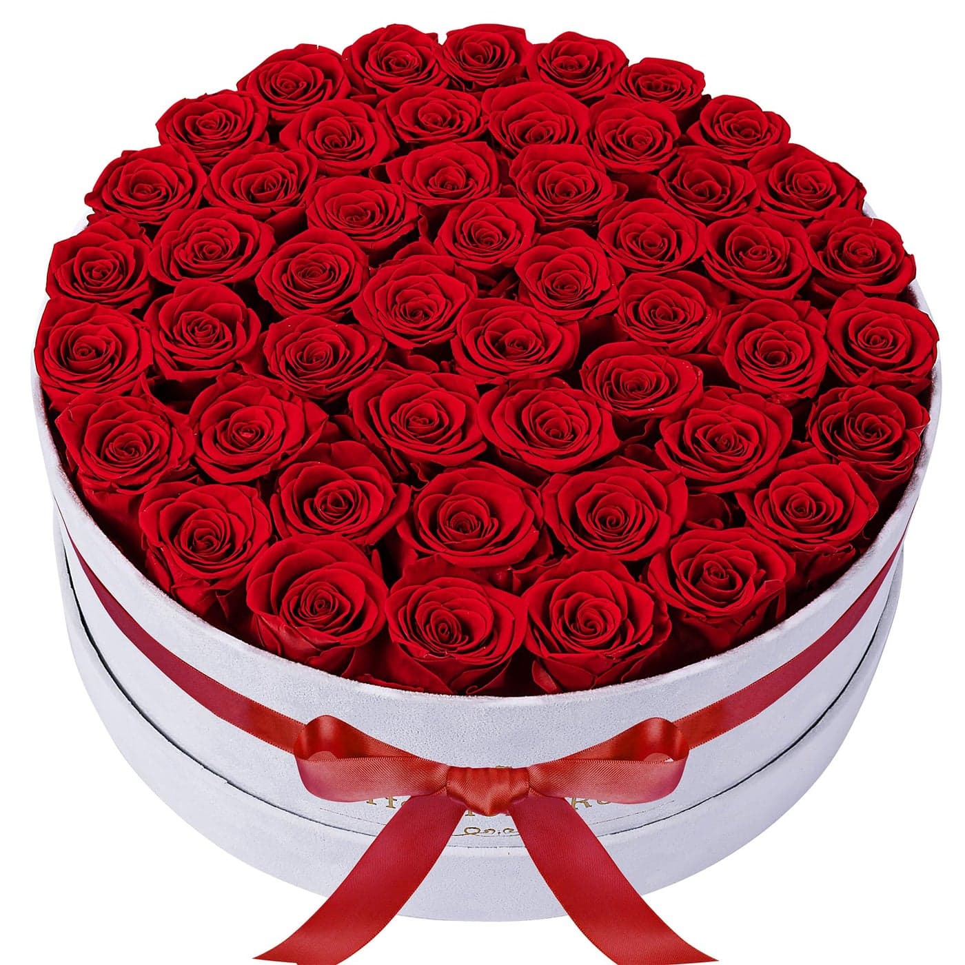 50 Piece Roses in a Velvet Box Flowers for Delivery Presereved Flowers Birthday Gifts for Women Mom and Wife Red