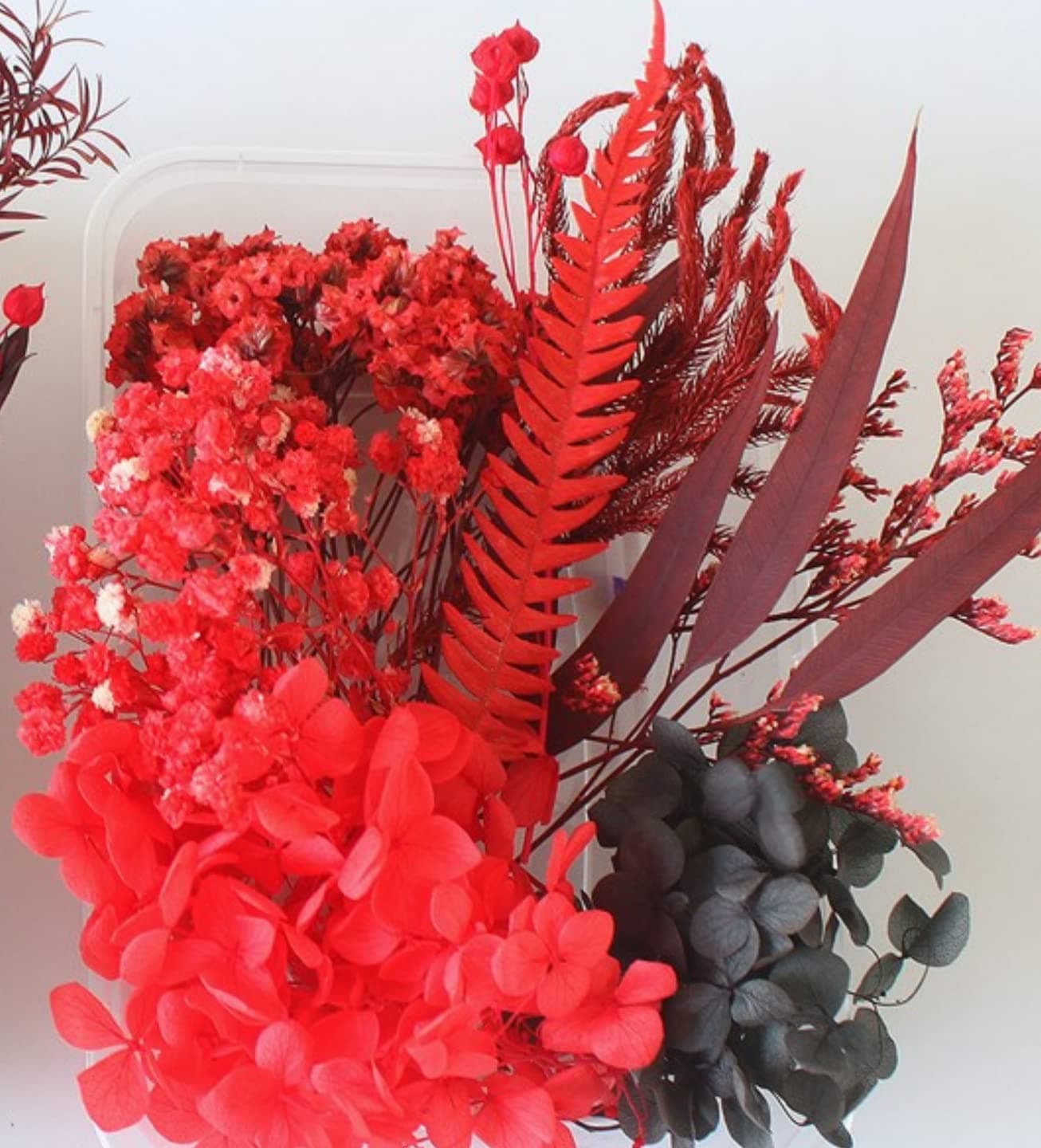 iKalaa Preserved Dried Flower | Resin Art |Nail Art | Jewelry | Candle Making | Craft & DIY Accessories (Red and Black)