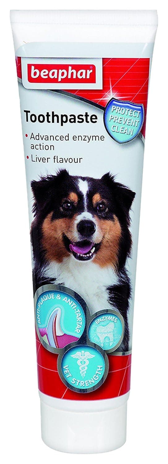 Beaphar Toothpaste for Dogs and Cats, 100g