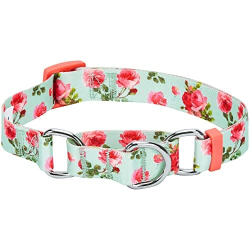 Blueberry Pet Spring Scent Inspired Rose Print Martingale Safety Training Dog Collar, Turquoise, Medium, Heavy Duty Adjustable Collars for Dogs