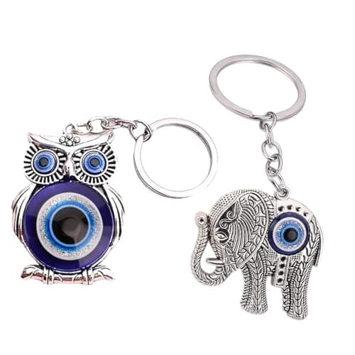 Fianoeir 2Pcs Evil Eye Keychain, Key Chain for Bike and Car, Unique Key Ring with Protection Symbol, Stylish Keychains Aesthetic for Men and Women, Home and Office Use