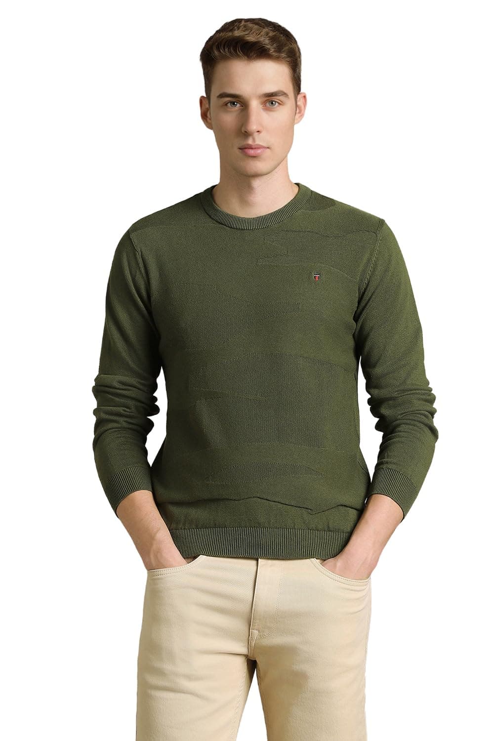 Men Olive Textured Crew Neck Full Sleeves Sweater