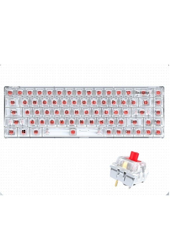 Transparent Gaming Keyboard,68 Keys USB Wired Mechanical Keyboard with Transparent PBT Keycaps and RGB Side Light for Office Gaming,Suitable for PC/Ps4/Xbox Gamers,Red Switch