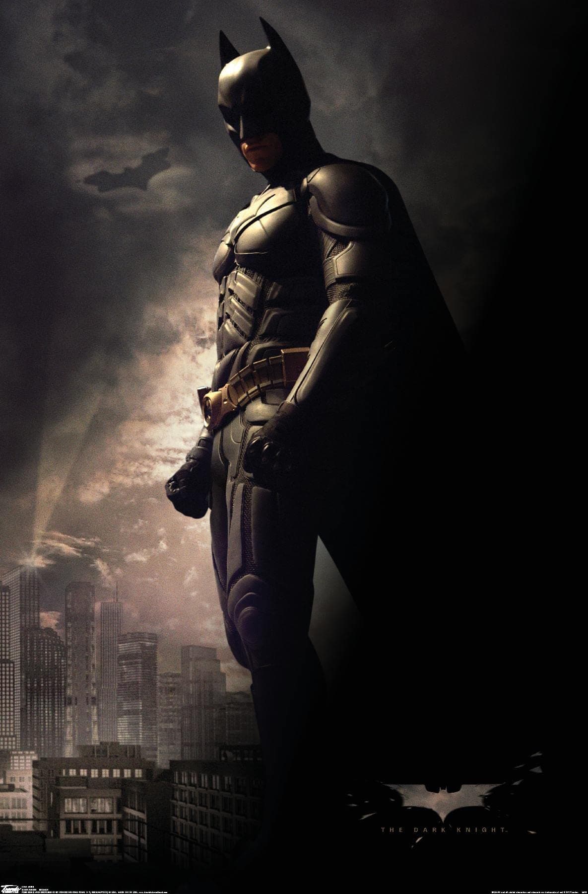 Trends International DC Comics Movie - The Dark Knight - Batman in the Shadows Wall Poster, 22.375" x 34", Premium Unframed Version