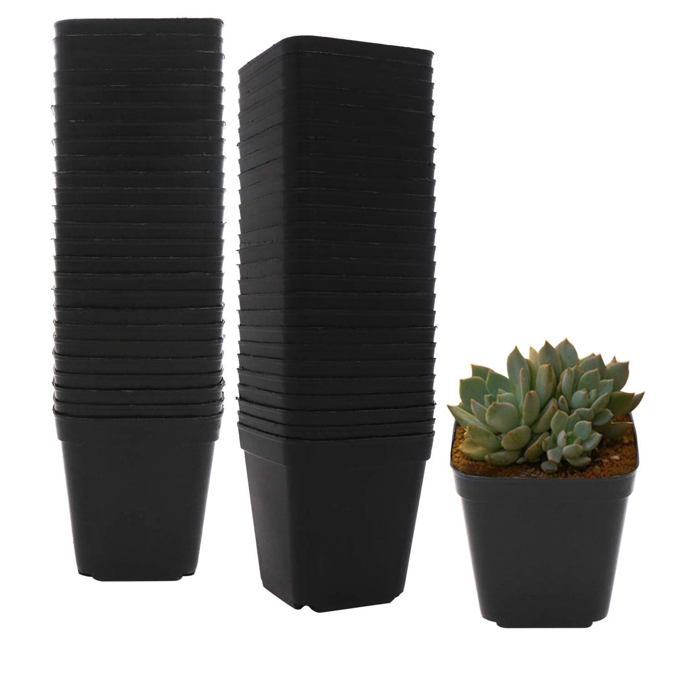 GOETOR 50 PCS Pastic Nursery Pots 27Inch Square Plant Pot Thick Balck Starter Container for Starting Seedlings or Succulents 27 Inch