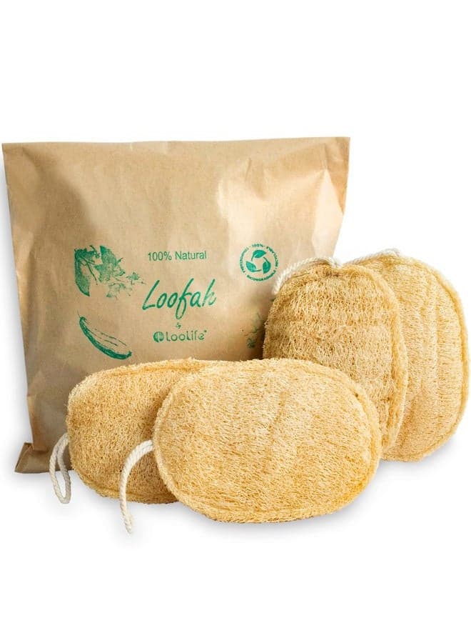 100% Natural Loofah Exfoliating Sponge (4Pack) - Loofah Body Scrubber - Loofah Sponge - Organic Loofah - Exfoliating Body Sponge - Biodegradable Loofah - Bath Luffa Sponges - Exfoliating Loofah Pad