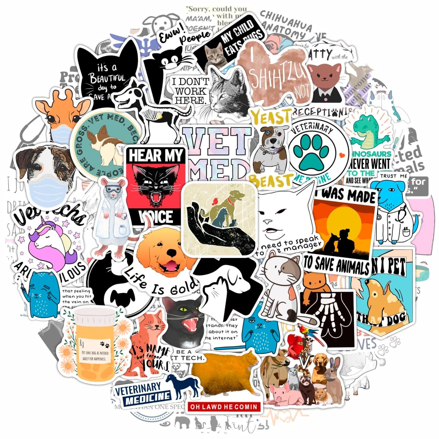 BulbaCraft 100Pcs Funny Veterinary Stickers and Laptop Decals Vet Stickers Veterinarian Decals Funny Veterinary Gifts Gifts for Women Men