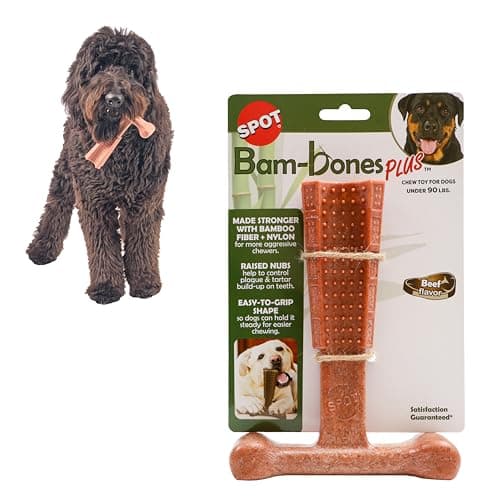 SPOT BamBones Plus T Bone Bamboo Fiber Nylon Dog Chew Toy for Moderate to Aggressive Chewers NonSplintering LongLasting 7in Beef Flavor for Adult Dogs Teething Puppies Under 90lbs