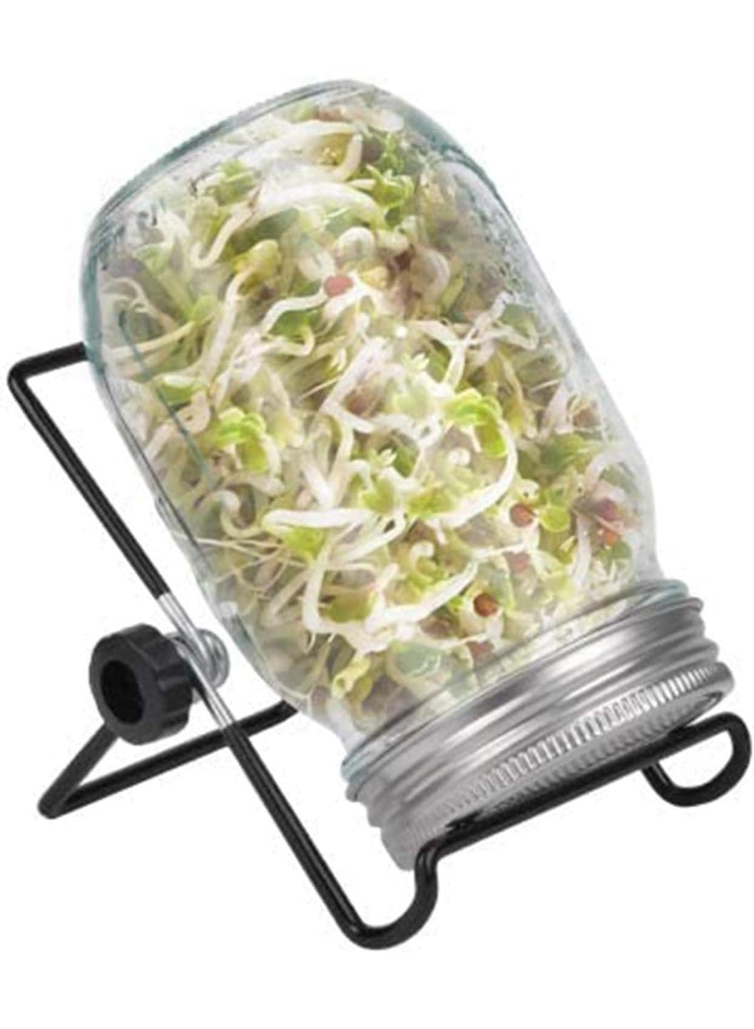 Sprouting Jar Kit, Wide Mouth Quart Mason Jars with Screen Sprout Lids & Stand, Seeds Germination Growing Kit, Seed Sprouter Set for Growing Organic Broccoli Alfalfa Mung Microgreens Bean