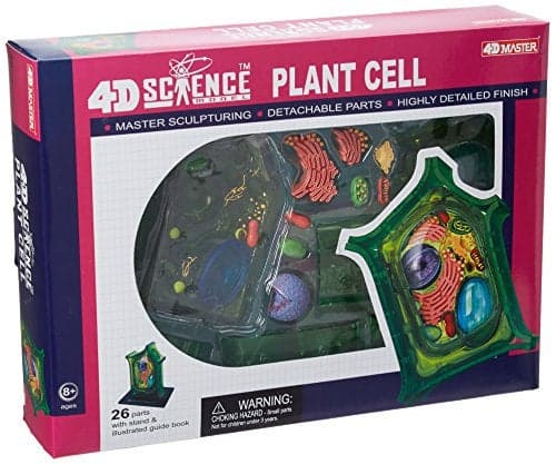 Famemaster 4DScience Plant Cell Anatomy Model