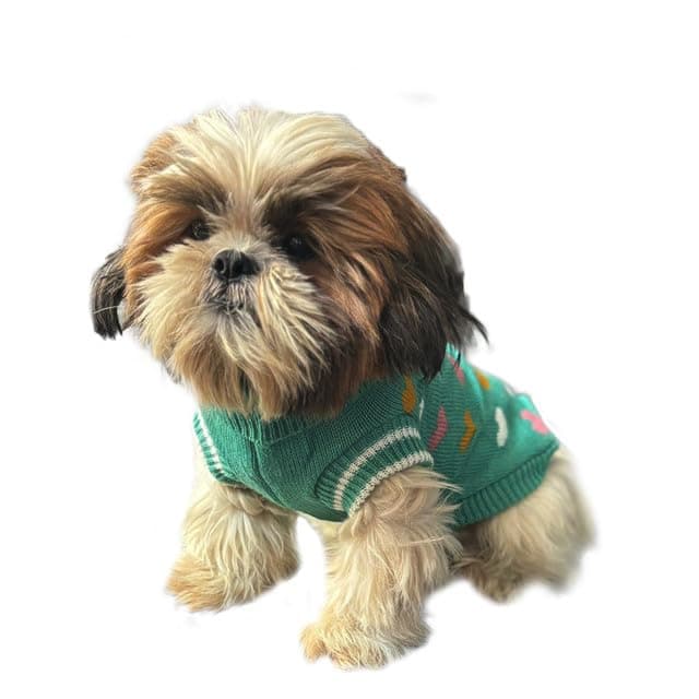 Lulala Turtleneck Dog Sweater - Winter Coat Apparel Classic Cable Knit Clothes with Leash Hole for Cold Weather, Ideal Gift for Pet in New Year (Green, 8 Inch)