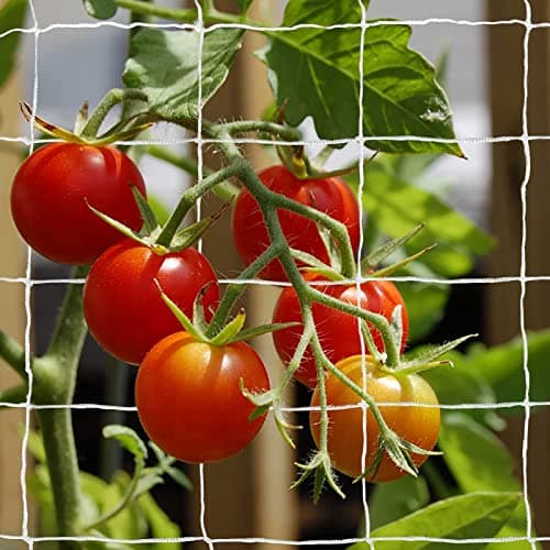 Tcamp Heavy-Duty Polyester Plant Trellis Netting 5 x 30ft (1 Pack) (5 Ft X 30 Ft)