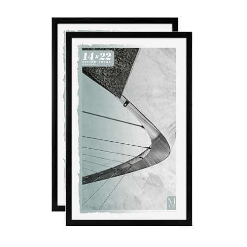 MCS Foundation 14x22 Poster Frame Traditional Black, Vertical & Horizontal Wall Hanging Large Picture Frame for Photos, Posters & Art Prints (2-Pack)