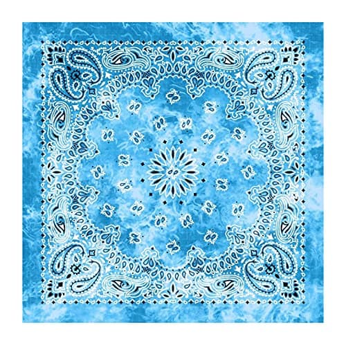 BISMAADH Unisex Cotton Paisley Printed Cowboy Bandanas (Free Size)