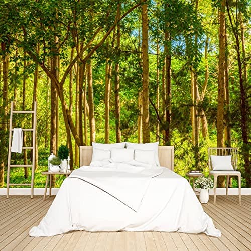 BZHXBZ Redwood Forest Wallpaper Jungle Landscapes Woods Tree Bedroom Woodland Scenery murals Office Decor Living Room tv Background Large Wall Mural 160x108 Not Peel and Stick