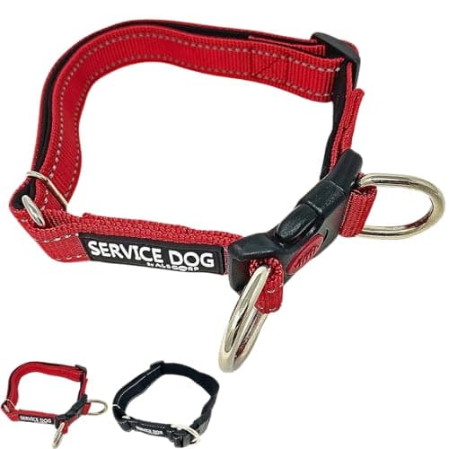 Albcorp Reflective Service Dog Collar – Sizes XS to XL (8.6–28.7 Inches), Service Dog Rubber Patch, Neoprene-Padded Comfort & High-Visibility Gear for Dedicated Handlers, Large, Red