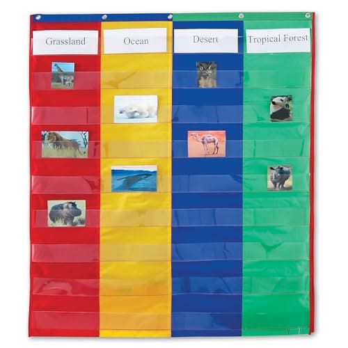 Learning Resources 2 And 4 Column Double-sided Pocket Chart, 30"L x 38"H, Classroom Organizer, Teacher Accessories