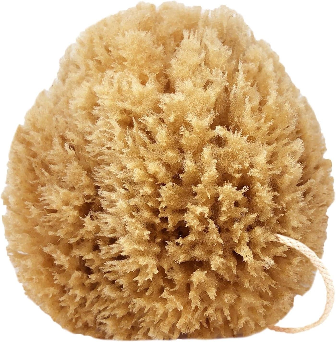 Power Exfoliator Natural Sea Sponge Strong Durable Unbleached Pouf and Scrub with Rope 100 Organic Hypoallergenic Adult Bath Shower Exfoliating Art Pets Gift Medium