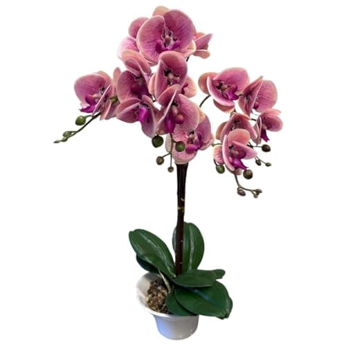 Fox & Fern Artificial Orchid Flowers in Ceramic Pot with 2 Stems, 4 Flower Sticks (GAOR23-0112LP)| Orchid Bonsai Faux Phalaenopsis Plant (Ht. 53CM) (Light Pink)