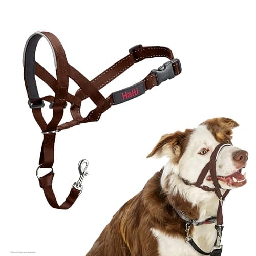 Halti Headcollar - Stop Your Dog Pulling on The Leash. Adjustable, Reflective and Lightweight, with Padded Nose Band. Dog Training Anti-Pull Collar for Medium Dogs (Size 2, Deep Walnut)