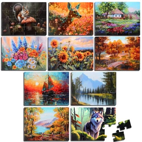 Hiboom 10 Pack 16 Piece Large Jigsaw Dementia Puzzles for Alzheimers Senior Easy Puzzles Dementia Products for Elderly Adults Gifts Memory Cognitive Games Christmas Activities 945 x 126 InchNovel