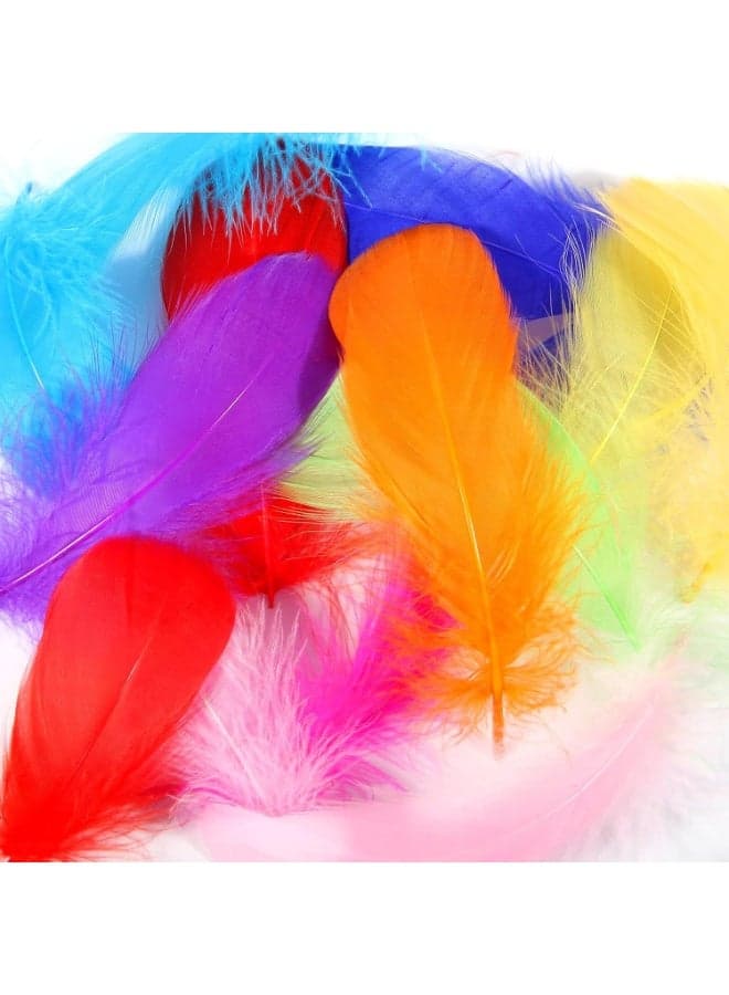 20pcs Colorful Feathers, 3-5 inch Bulk for DIY Craft Wedding Home Party Decorations Tiny Goose Feather, Mix Colour