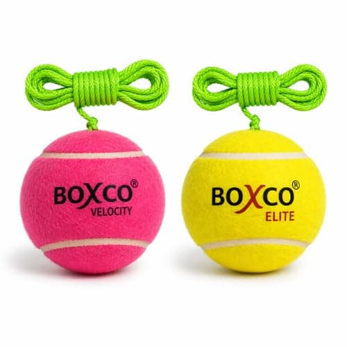 BOXCO Hanging Cricket Practice Balls Set of 2 | Medium & Light Weight Combo | Tennis Cricket Training Ball | Improves Batting Timing & Accuracy
