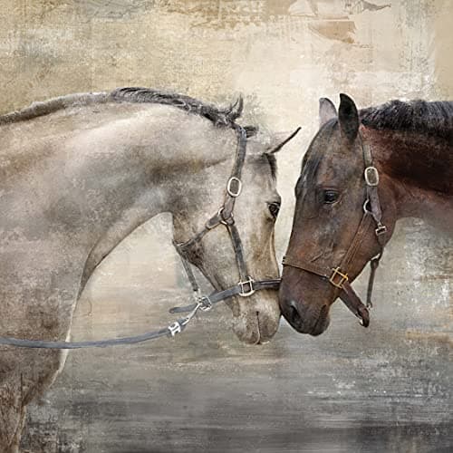 Haven Home Decor Loving Horse Duo 23.5" x 23.5" Canvas Wall Art Brown, Horse Art Wall Decor for Living Room, Bedroom, Family Room