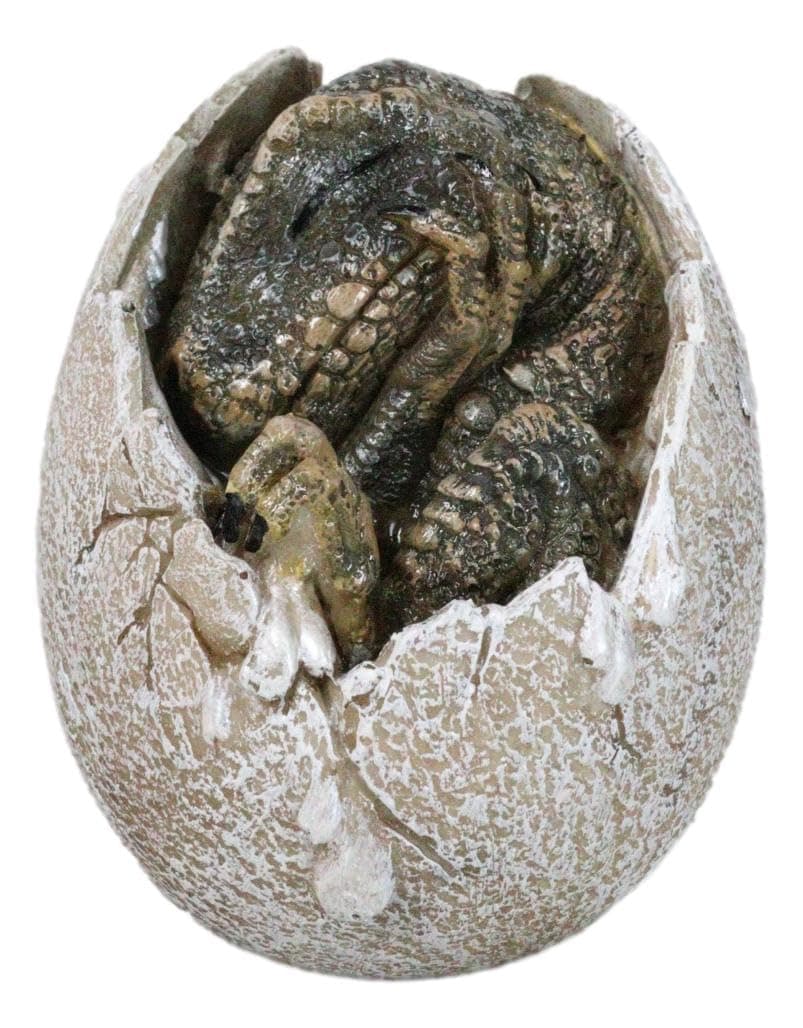 Ebros Gift Jurassic Era Predator Tyrannosaurus Rex In Egg Dinosaur Figurine Dino Hatchling Egg Crackling Baby Collectible Sculpture Of Prehistoric Giant Animals Ice Age Land Before Time Fossil Replica