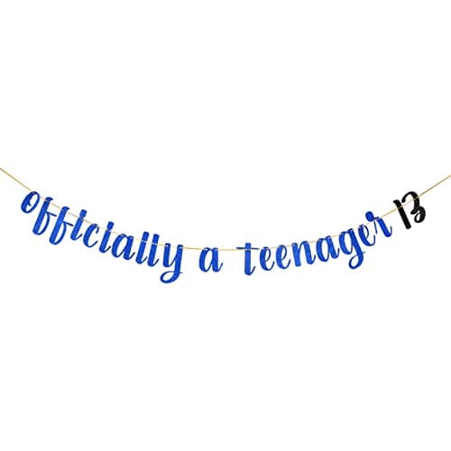 Festiko®Royal Blue Glitter Happy 13th Birthday Banner - Teen's 13th Birthday Party Decorations - Thirteen Years Old Birthday Banner