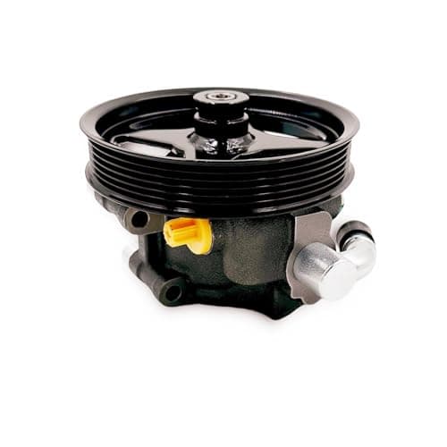 ALADICHE 20312P1 Power Steering Pump with Pulley Compatible with 20032006 Ford Expedition 20042008 F15020062008 Lincoln Mark LT20032006 Navigator for 46L 54L V8