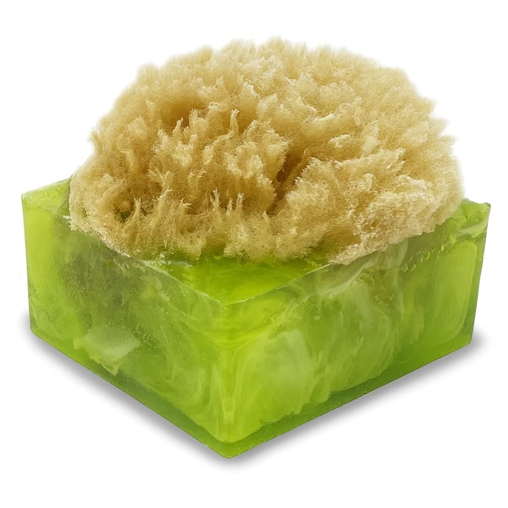 Primal Elements Sea Salt and Citrus SpongeBar Soap Pack of 2