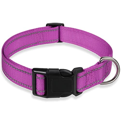 Reflective Dog Collar with Buckle Adjustable Safety Nylon Collars for Small Medium Large Dogs, Purple S