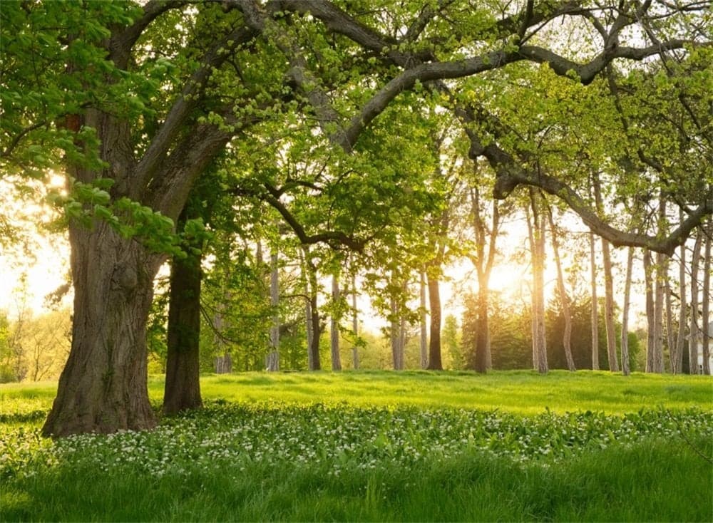 Leowefowa 7x5ft Spring Backdrop Rural Forest Trees Backdrops for Photography Blooming Flowers Green Grassland Nature Vinyl Photo Background Kids Adults Outdoor Travel Portraits Studio Props