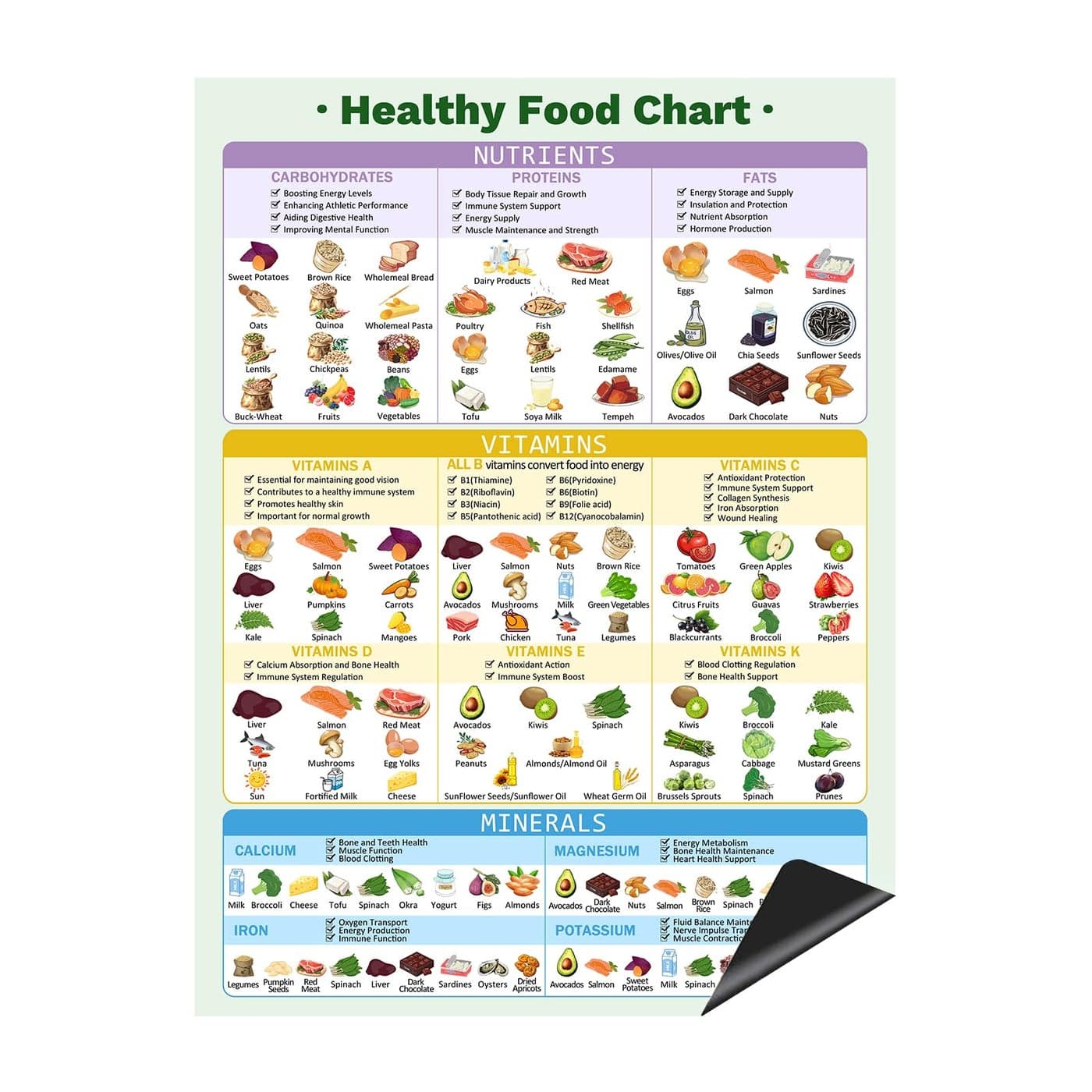 Healthy Food Chart Magnet Informative Nutrition Vitamins Minerals Fridge ChartNutrition PostersKitchen Conversion Chart16 x 12