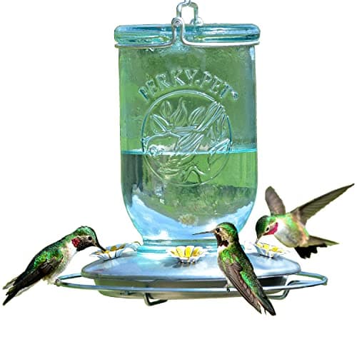 Perky-Pet Mason Jar Vintage Style Glass Hummingbird Feeder 785-1SR - Humming Bird Feeders for Outdoor Garden Decor - 32 Oz Nectar Capacity
