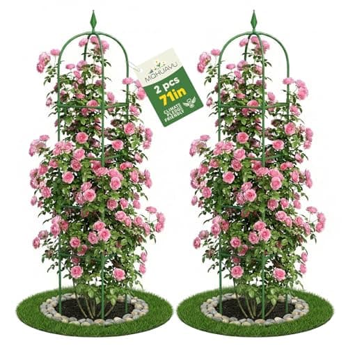 2 Pack Garden Obelisk Trellis for Climbing Plants 6 FT Metal Rustproof Plant Support Rose Trellis Tower Potted Cages for Flowers Fruits Vegetable Vines Indoor Outdoor Green4 Tiers